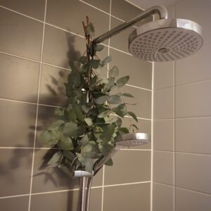 Eucalyptus shower