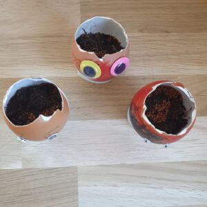 Eierschalen met aarde en tuinkerszaadjes